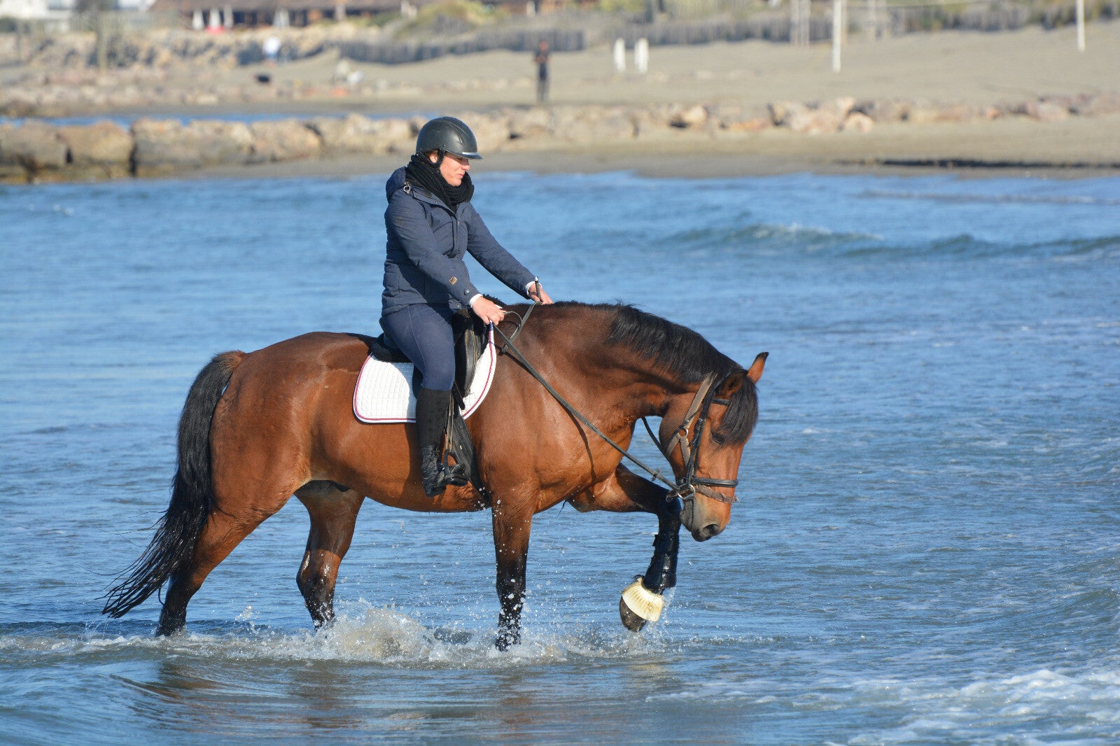 copywriter-equestre