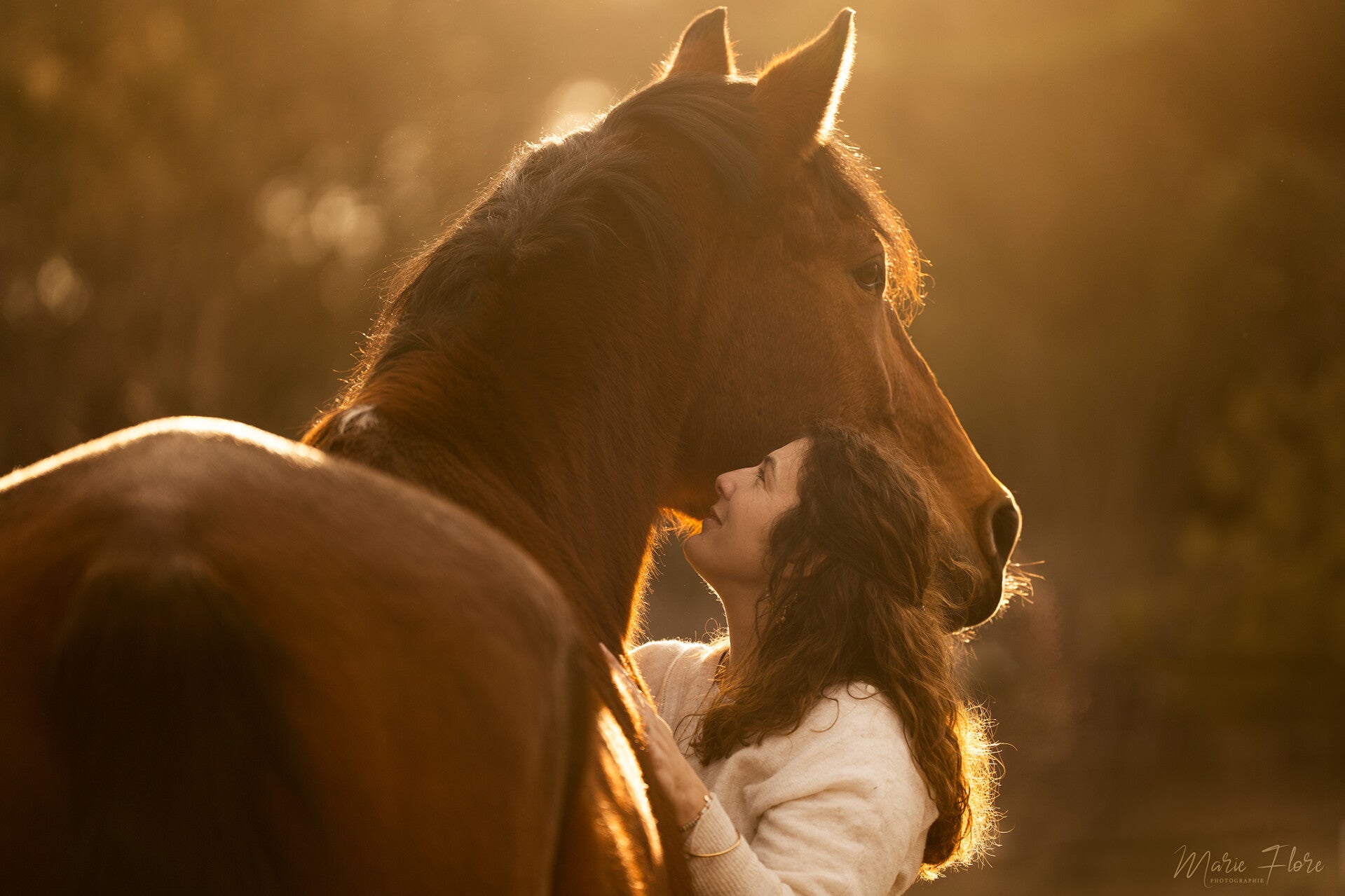 correcteur-milieu-equin