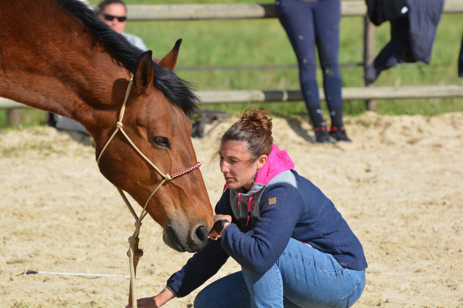 plume-equestre