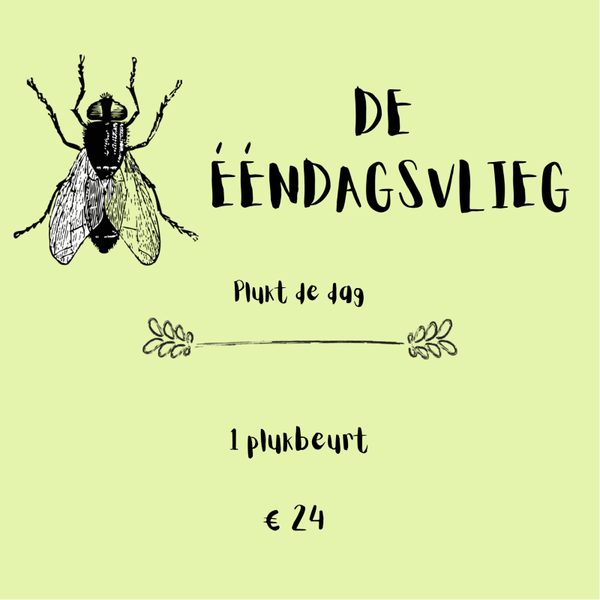 De Eéndagsvlieg
