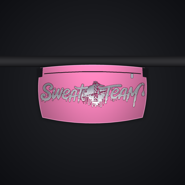 Sweat Team Fanny Pack - Pink