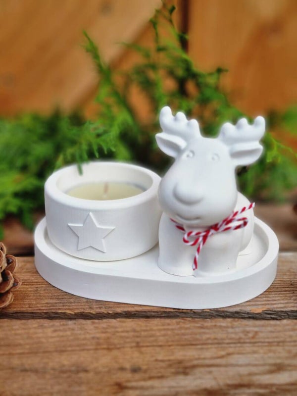 Weihnachts Dekoration, Raysin Set Rudolf.