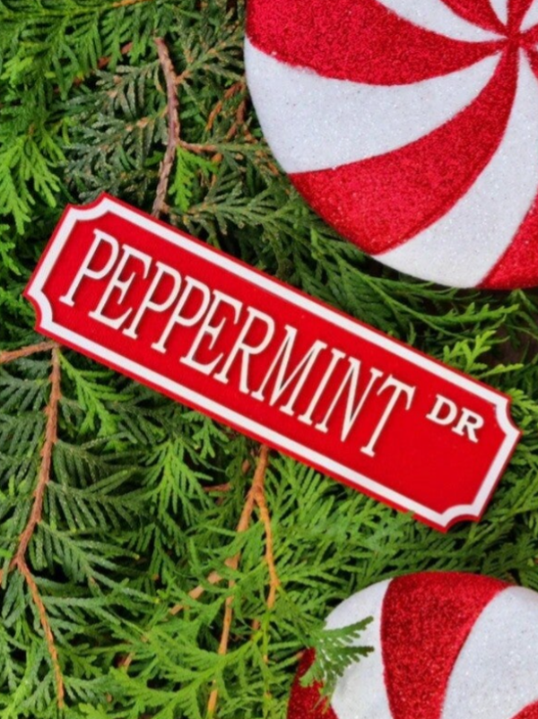 3D Holzschild Peppermint Dr.