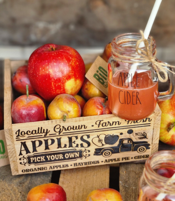 Farmhaus Holzkiste Apfel 🍎