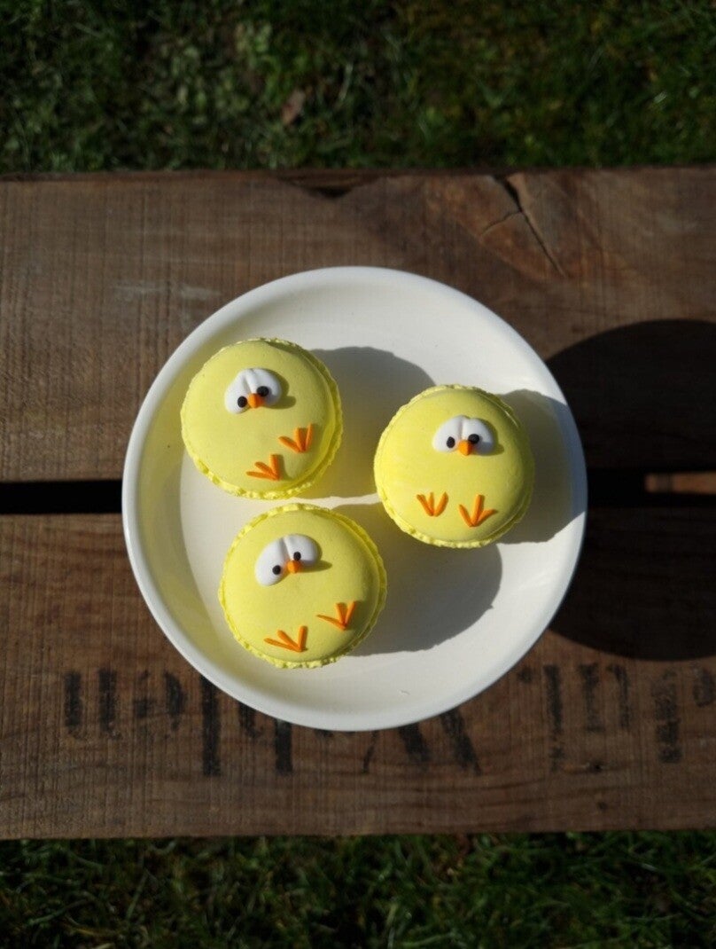 Kücken Macaronns, 3 er Set Osterdekoration