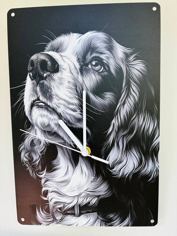 Cocker Spaniel zwart