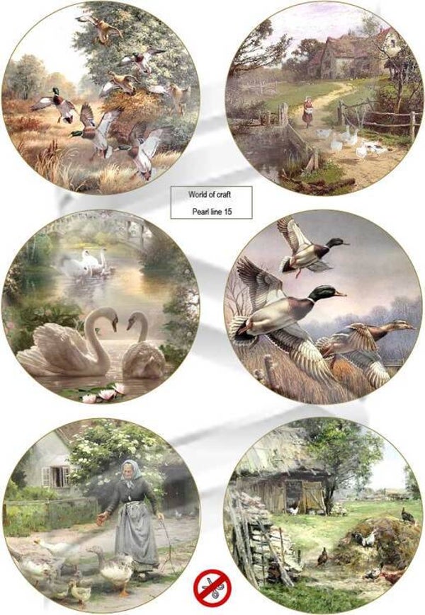 World of Craft Pearl