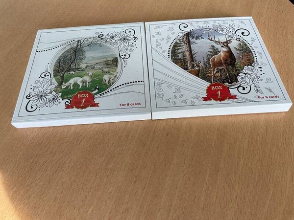 Box Kaartenset 1