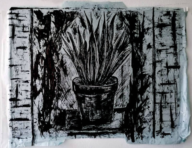 Hoezo Geraniums - tekening  2015