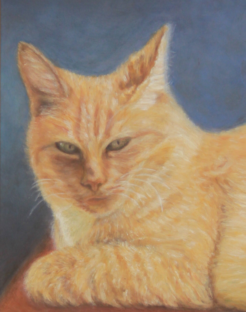 image-162-4.png