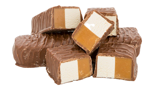 Choc Fudge & Nougat Slice