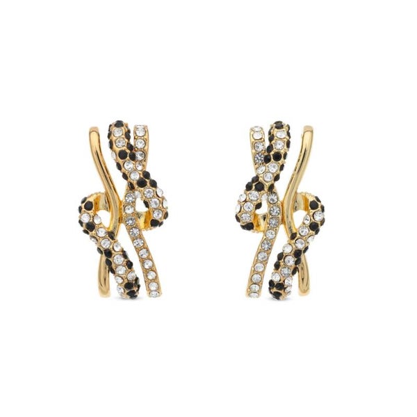 O258 Oorbelllen Leopard