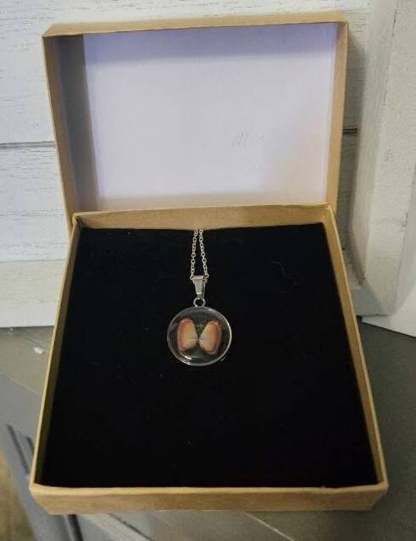 Seashell Necklaces