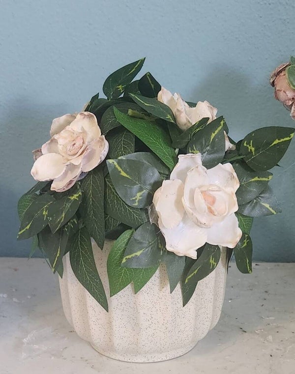Gardenia Planter