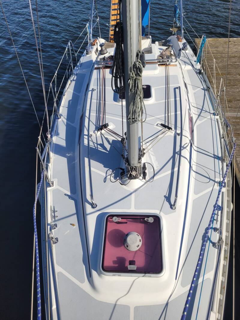 8159-standard-xw0ihd.jpg