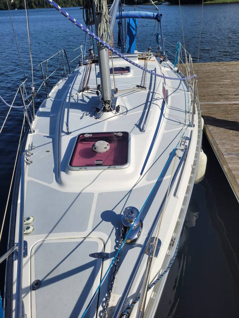 8161-standard-1ddv7l.jpg