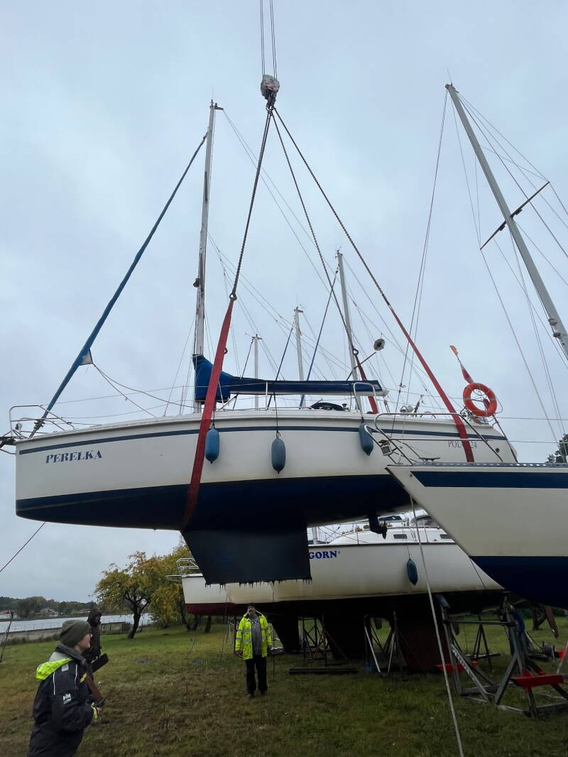 8241-standard.jpg
