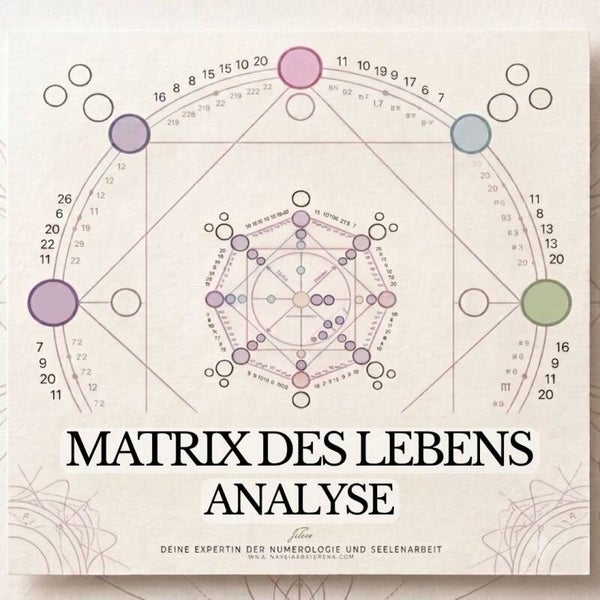 Matrix des Lebens Analyse