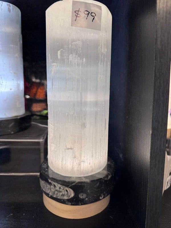 Selenite Lamp with Fossilised Oyster Base