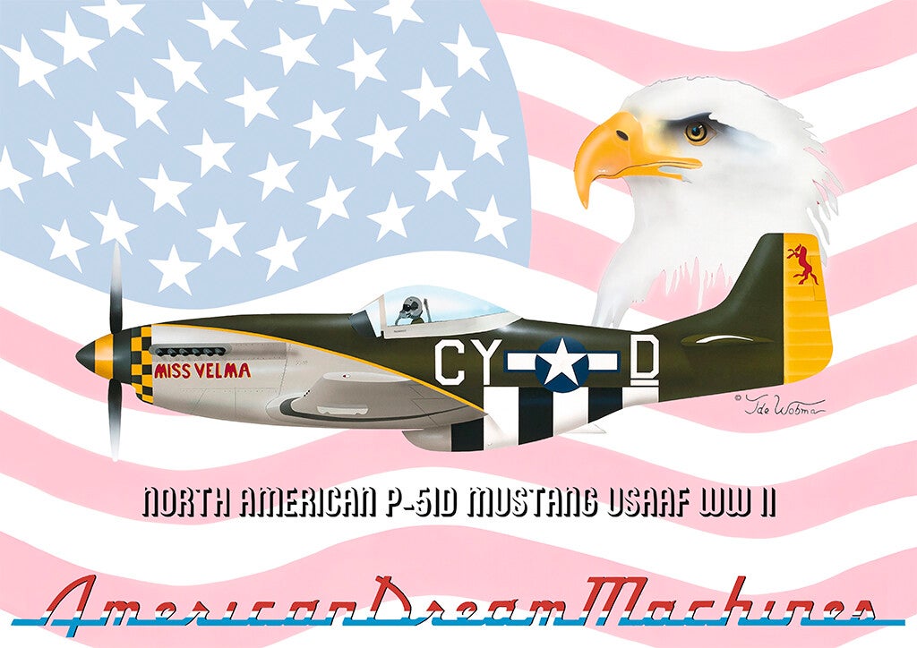 Mustang USAAF