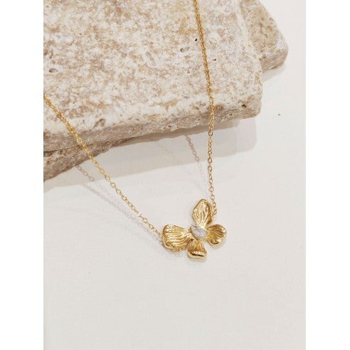 Chaine HELENA