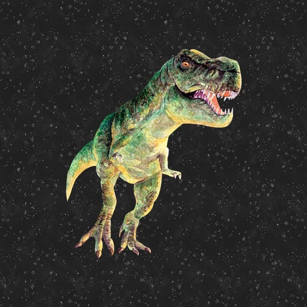 Sweat Panel 40×50 cm Dino Freunde Tyrannosaurus REX