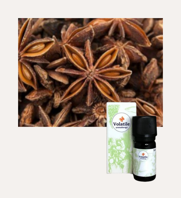 Anijs Ster CO2-select extract Bio (Illicium verum) 5ml