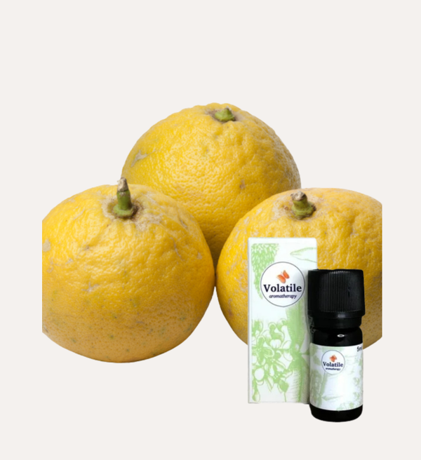 Bergamot (Citrus) 5ml