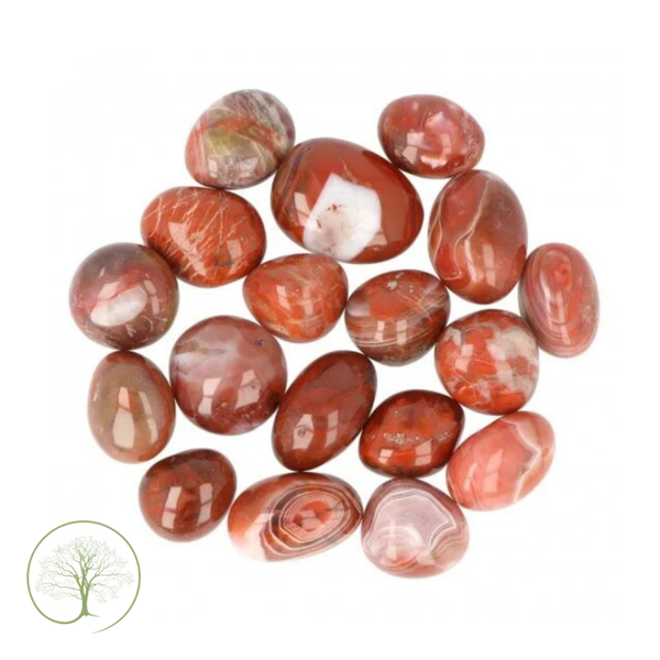 Carneool trommelstenen