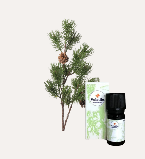 Den (Pinus sylvestris) 5 ml