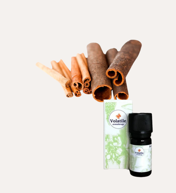 Kaneel (Cinnamomum cassia) 5ml