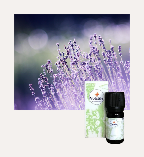 Lavendel Fin Franse bio 5ml