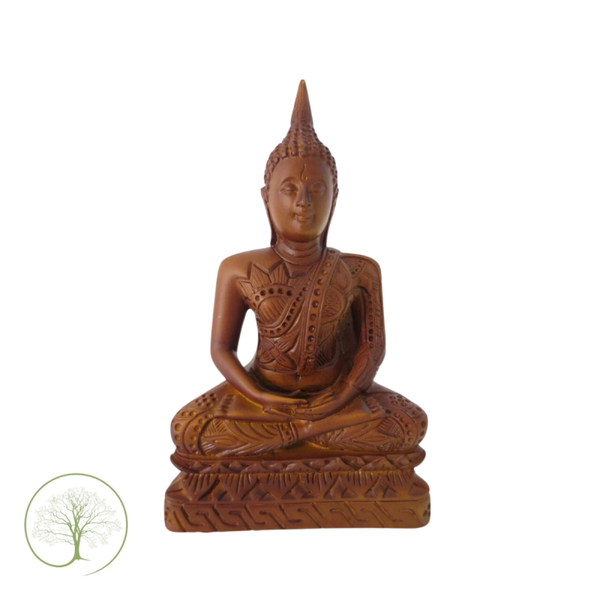 Meditaie Boeddha Dhyana