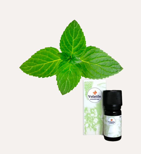 Pepermunt (Mentha piperita) 5ml