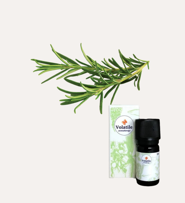 Rozemarijn (Rosmarinus officinalis) 5ml