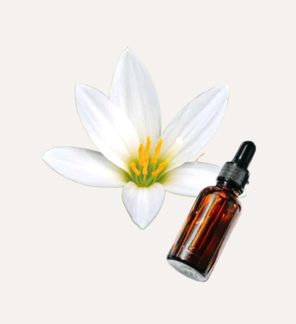 Loslaten met zachtheid 30ml