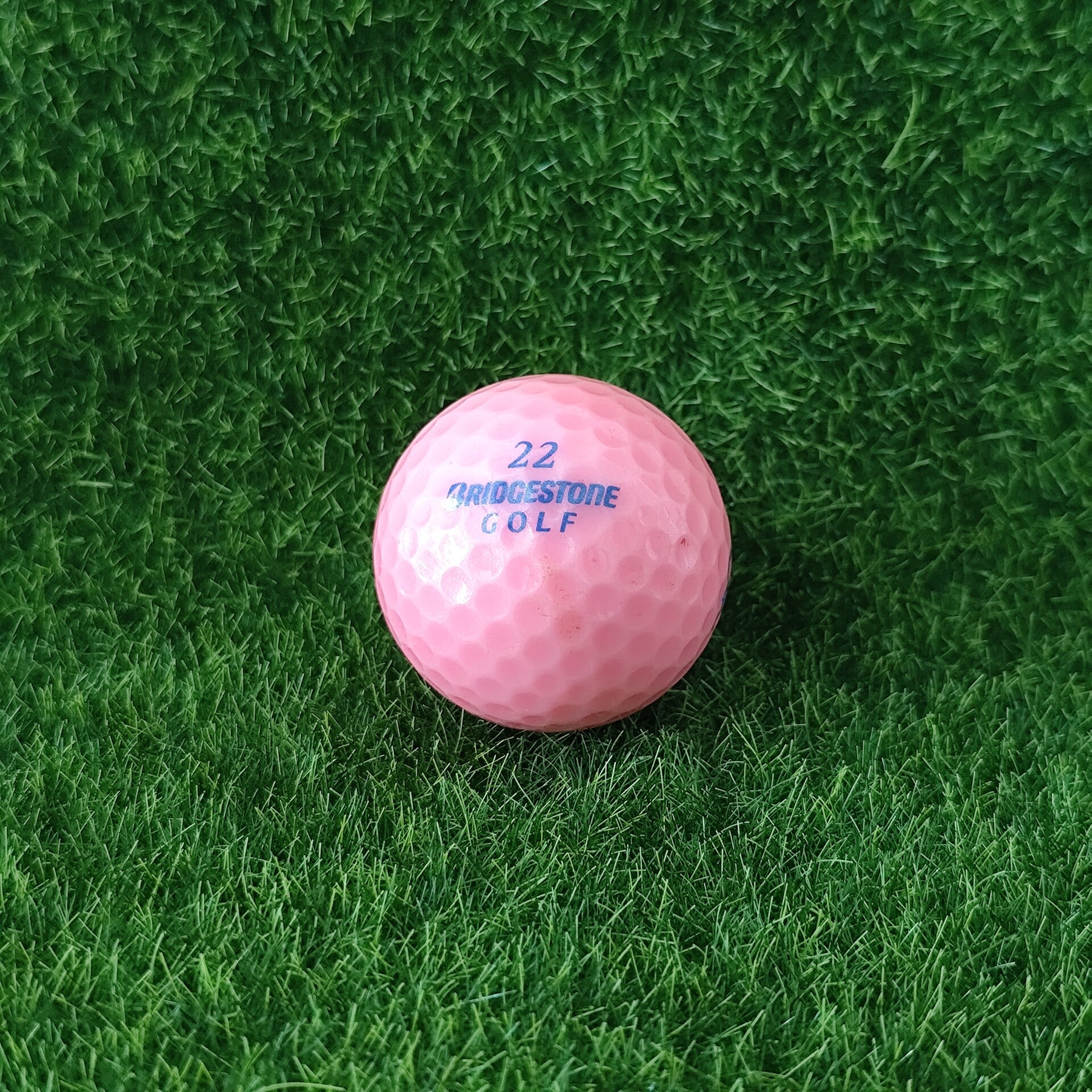 Bridgestone Lady precept