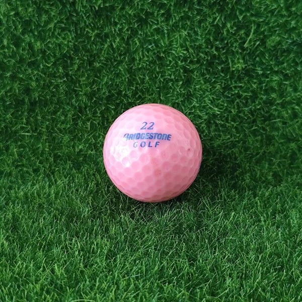 Bridgestone Lady precept