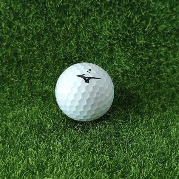 Mizuno