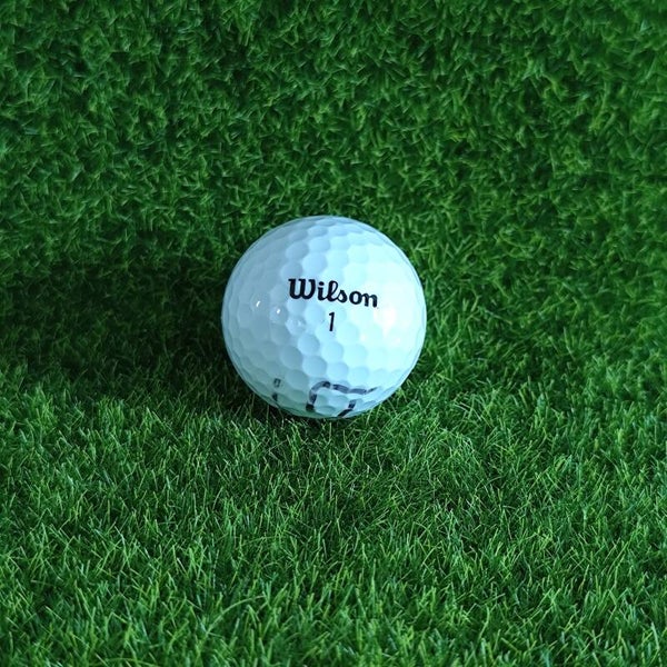 Wilson Staff Dx2