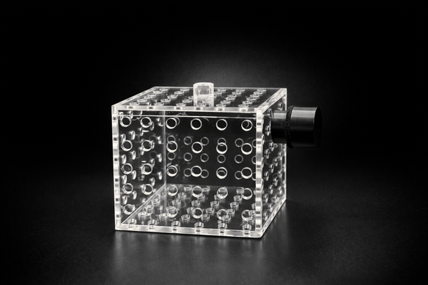 Mushrooms cage 3x3