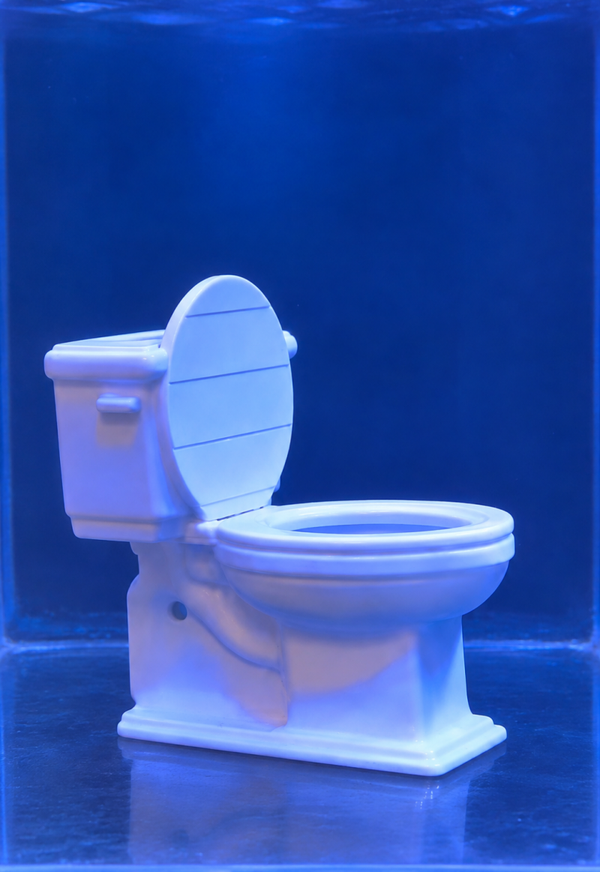 The Reef Toilet