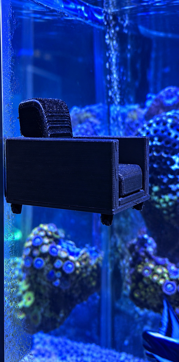Reef fish sofa 🛋️