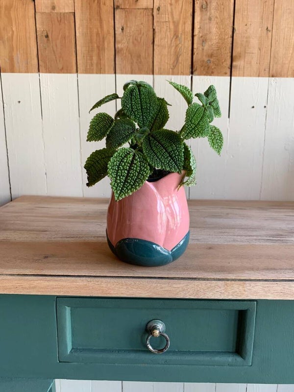 Pot tulipe
