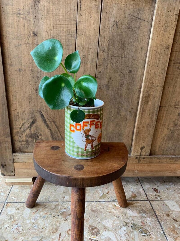 Pot Coffee
