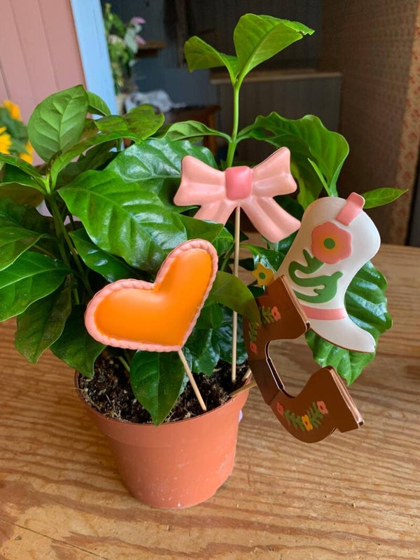 Lot de 4 mini tuteurs