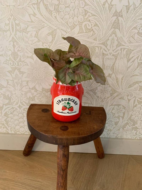 Pot Strawberry