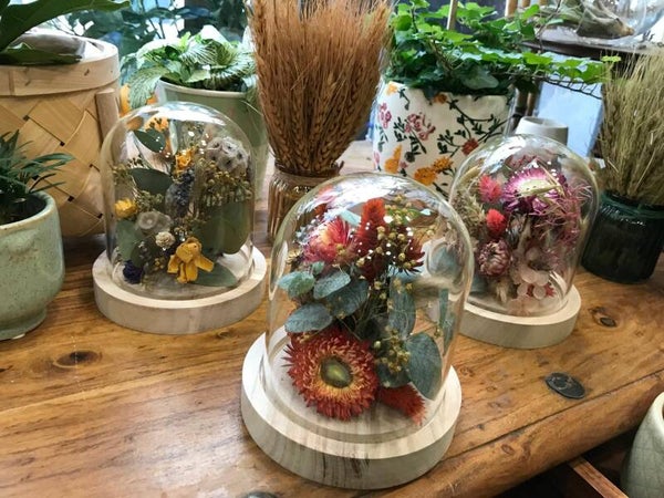 Cloche de fleurs séchées