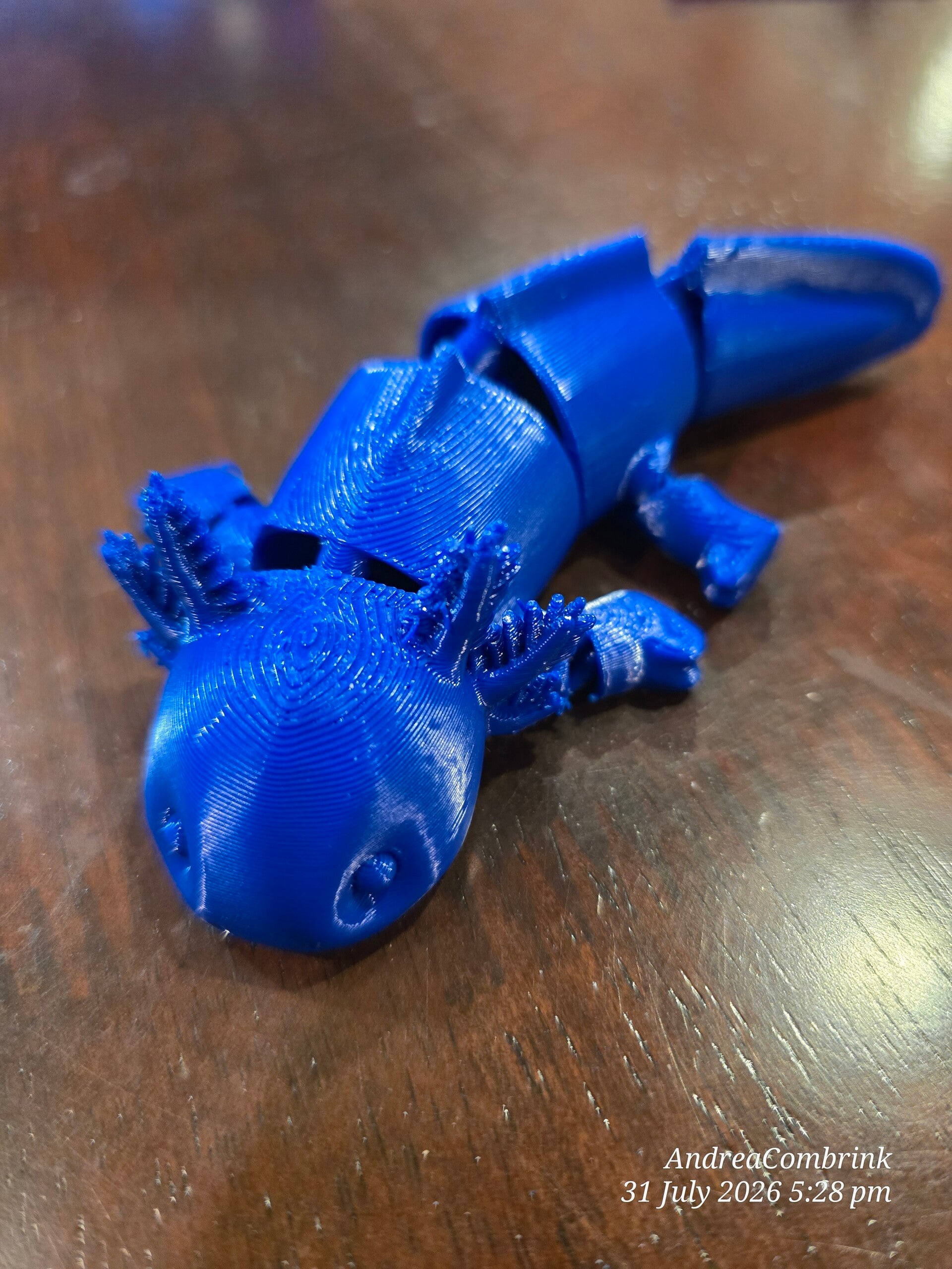 Axolotl