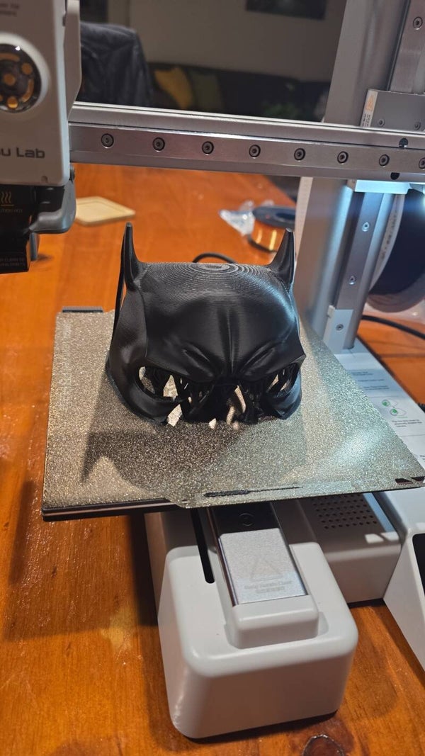 Bat-dog mask